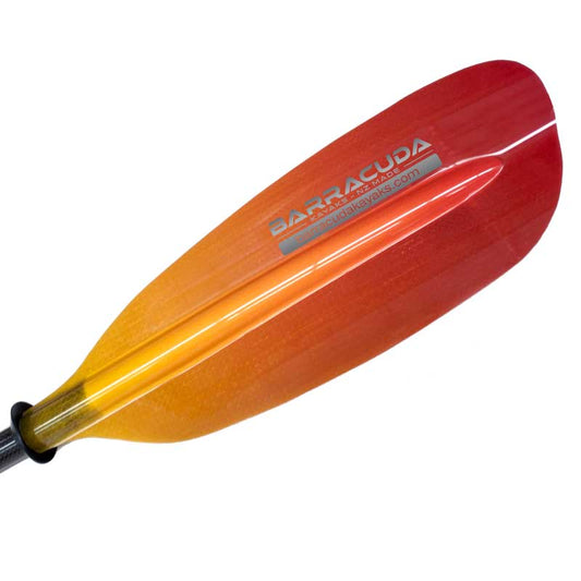 BK Coloured Sport Paddle